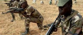 नाइजेरियामा सेनाको कारबाहीमा २५० जना बन्दुकधारी मारिए
